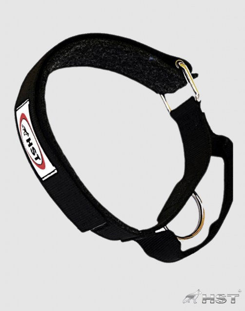 PO39 collar de proteccion sintetico